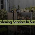 Gardening Services In Surrey