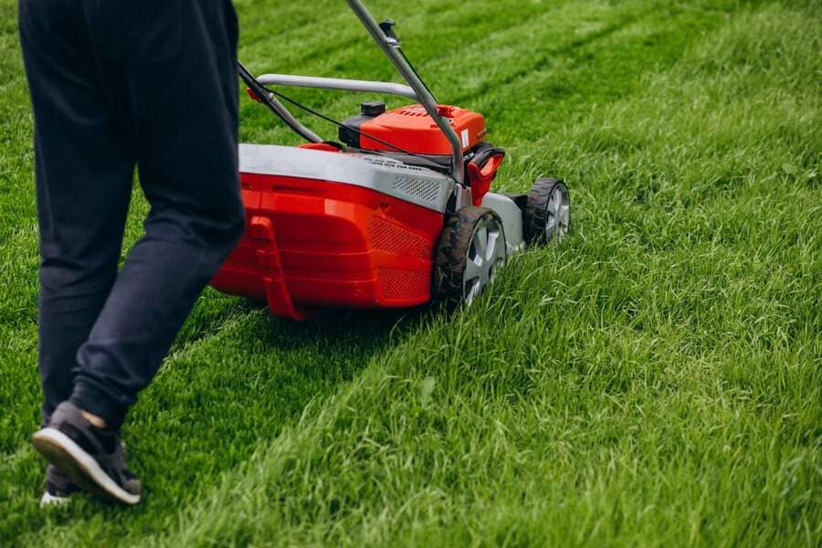 How To Choose The Best Lawn Mowing Services In Surrey?
